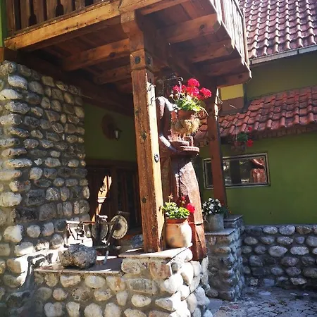 Dm Mokra Gora