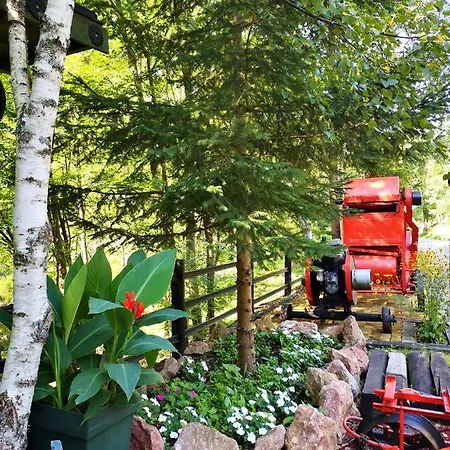 Dm Apartment Mokra Gora