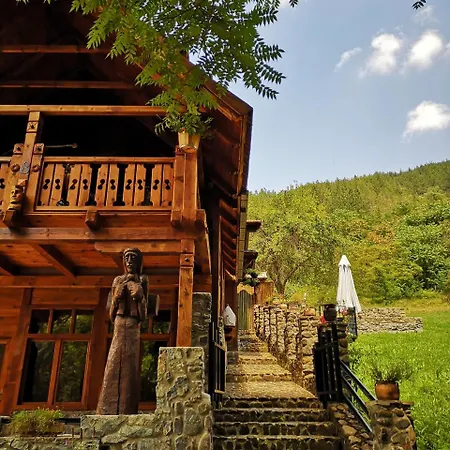 Dm Mokra Gora