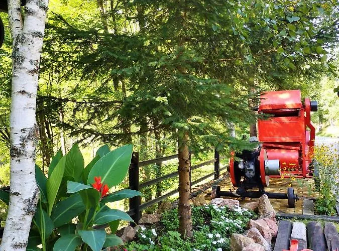 Dm شقة موكرا غورا