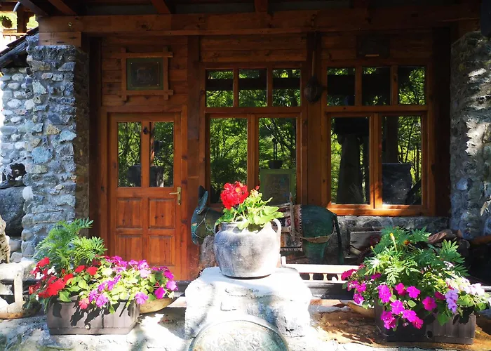 Dm * موكرا غورا