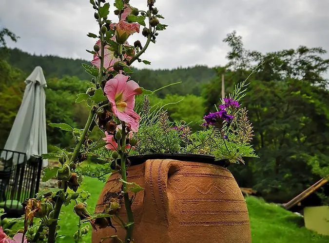 Dm موكرا غورا